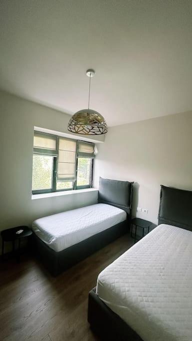 House * Vlorë