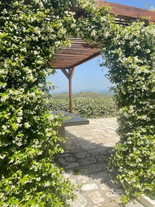 House Vlorë