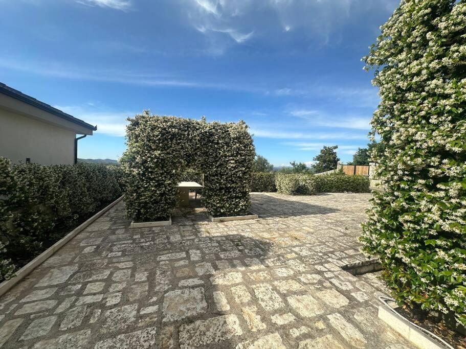 House Vlorë