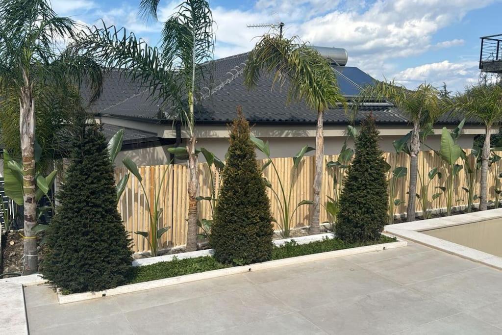 House * Vlorë